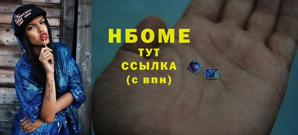 стафф Осташков