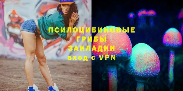 PSILOCYBIN Остров