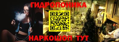 скорость Можга