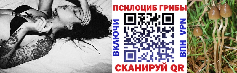 Галлюциногенные грибы мицелий Павлово