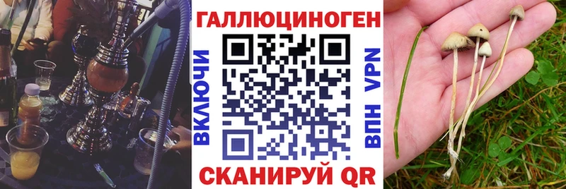 Галлюциногенные грибы Magic Shrooms хочу маркетплейс Telegram Павлово