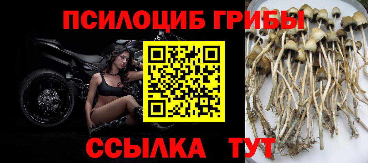 Галлюциногенные грибы ЛСД  Павлово 