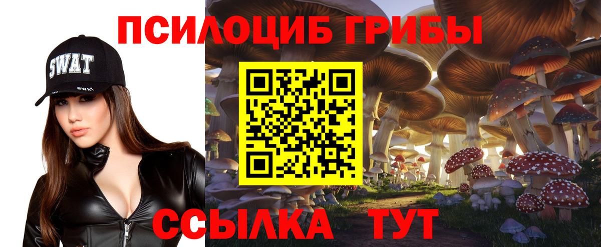 Псилоцибиновые грибы Magic Shrooms Павлово