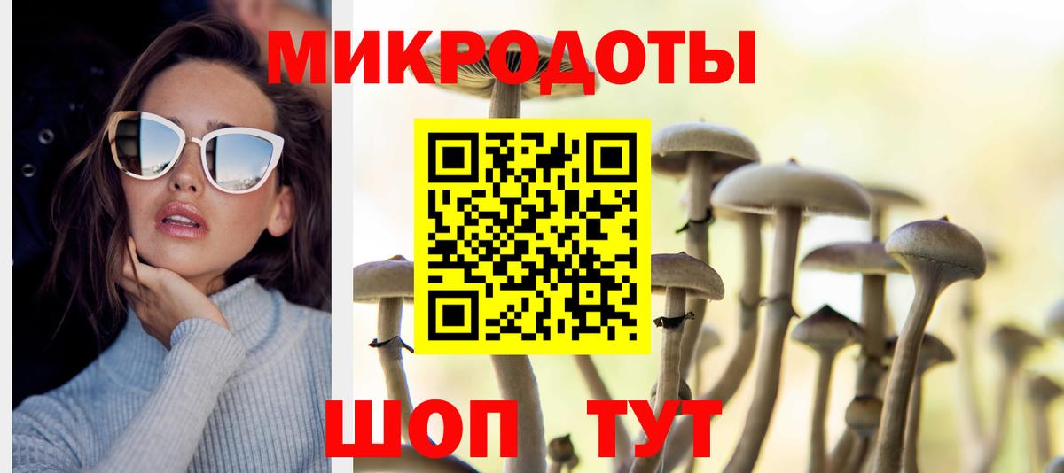 Павлово  Псилоцибиновые грибы Psilocybe  Галлюциногенные грибы Psilocybe  сколько стоит  Вход с VPN 